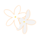Feel Harmony Logo